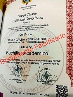 Documento falso