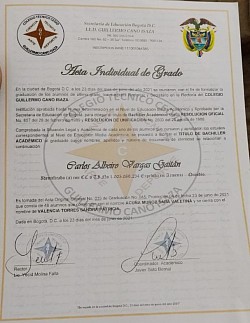 Acta FALSA - DISEÑO FALSO